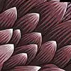 Swatch image
